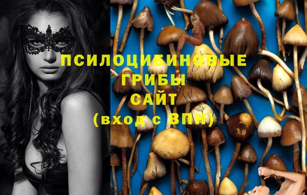 прущий лед Белоозёрский