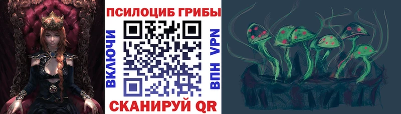 Псилоцибиновые грибы Psilocybe  Краснотурьинск 